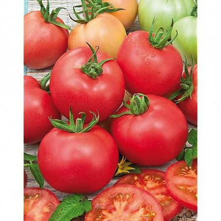 tomatenmalinowyerdbeertomate