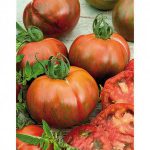 tomaten-timenta
