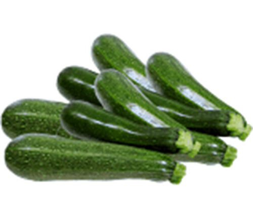 bio-zucchini