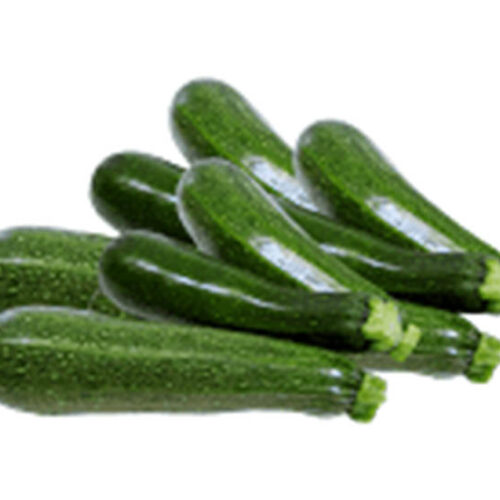 bio-zucchini